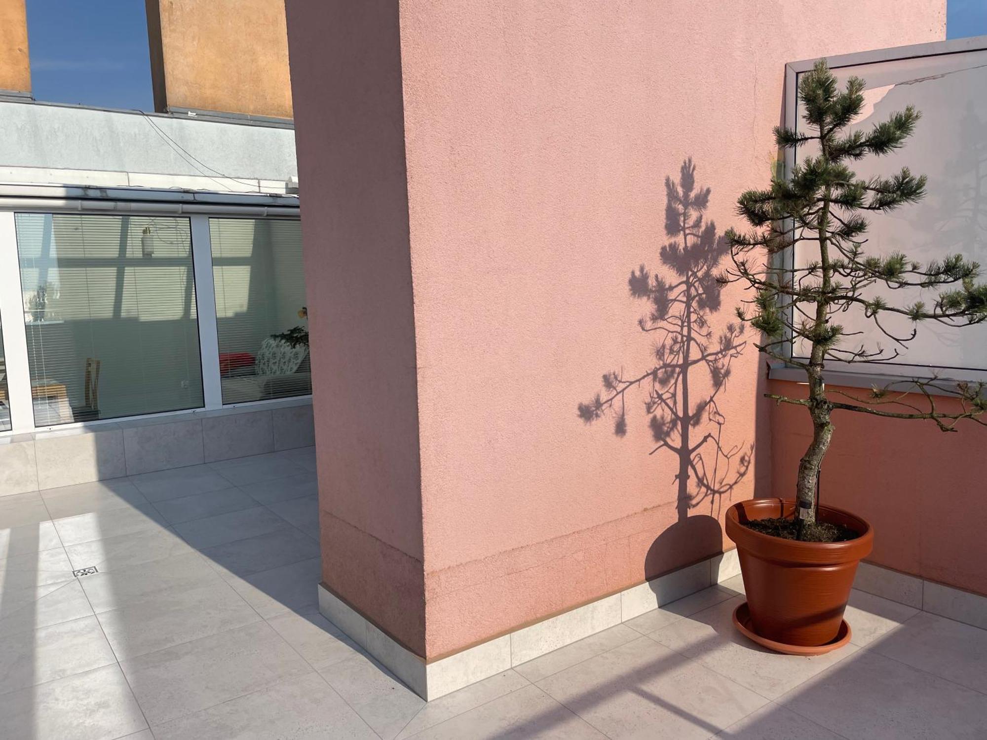 Wolin-Travel Fala Apartamenty Z Widokiem Na Morze Miedzyzdroje Bagian luar foto